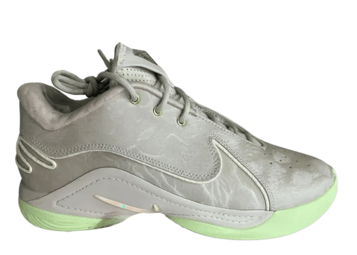 Nike LeBron 22 Dunkman