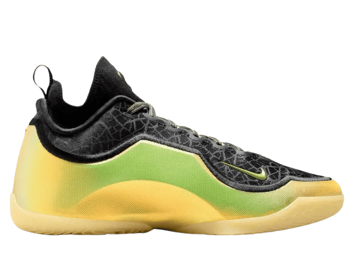 Nike LeBron 23 Elite Hurt Feelings Write History