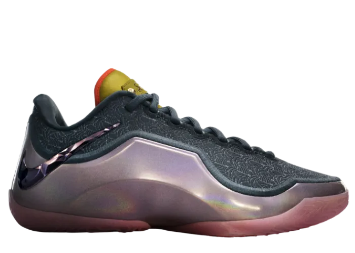 LeBron James' Two NBA Miami Championships Inspire this Nike