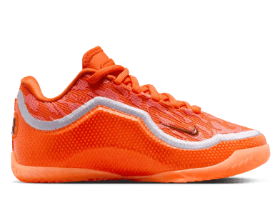 Nike LeBron 23 Shoe Bag