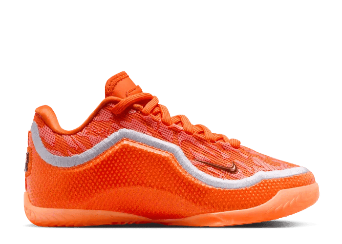 Nike LeBron 23 Shoe Bag (GS)