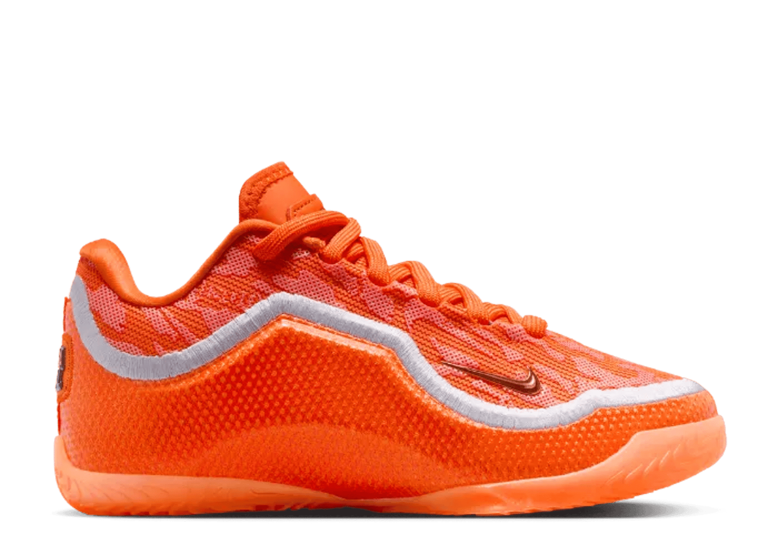 Nike LeBron 23 Shoe Bag (GS)