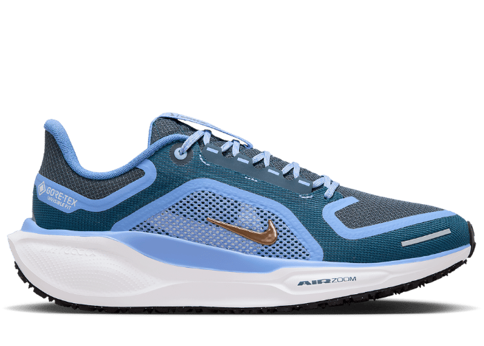 Nike Pegasus 41 GORE-TEX Cobalt (W)