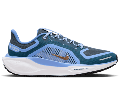 Nike Pegasus 41 GORE-TEX Cobalt (W)