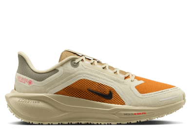 Nike Pegasus 41 Gore-Tex Running Poets