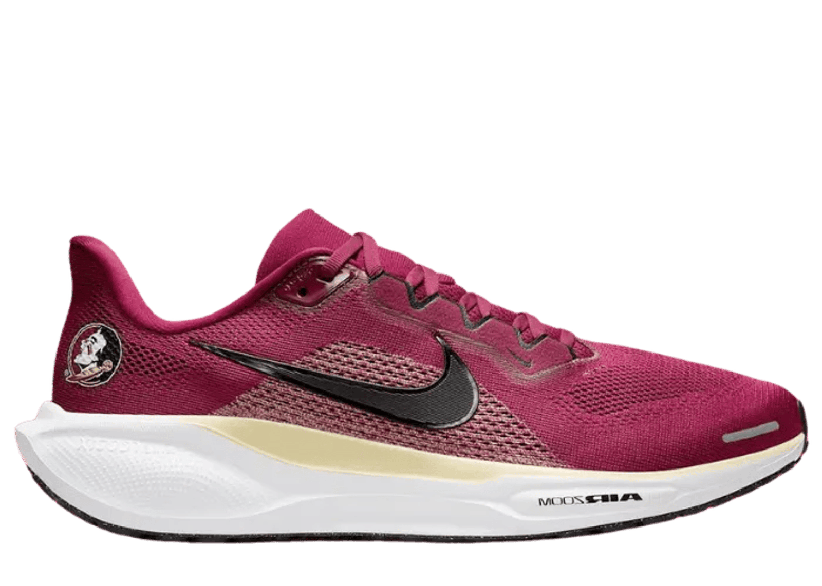 Nike Pegasus 41 NCAA FSU