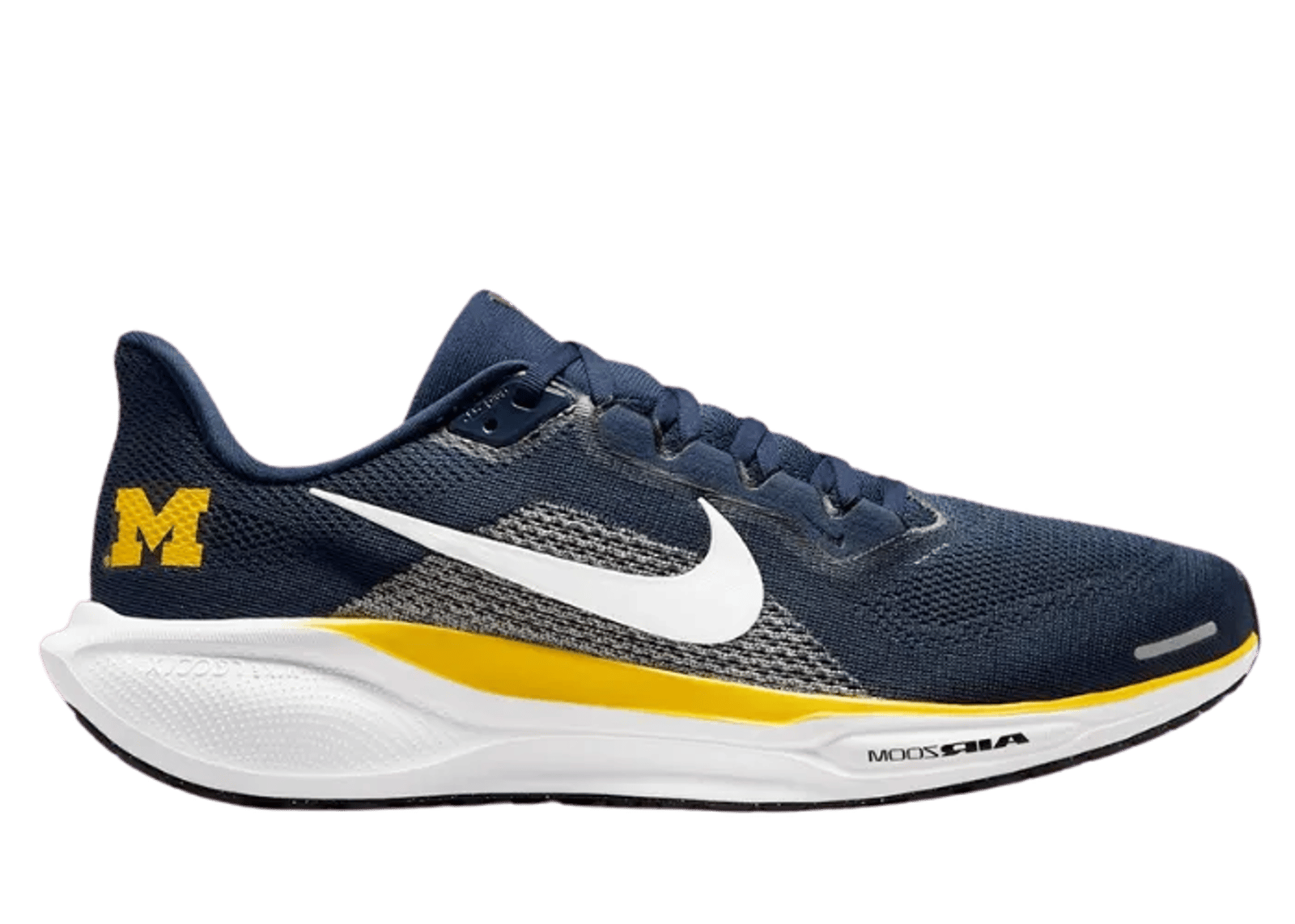 Nike Pegasus 41 NCAA Michigan