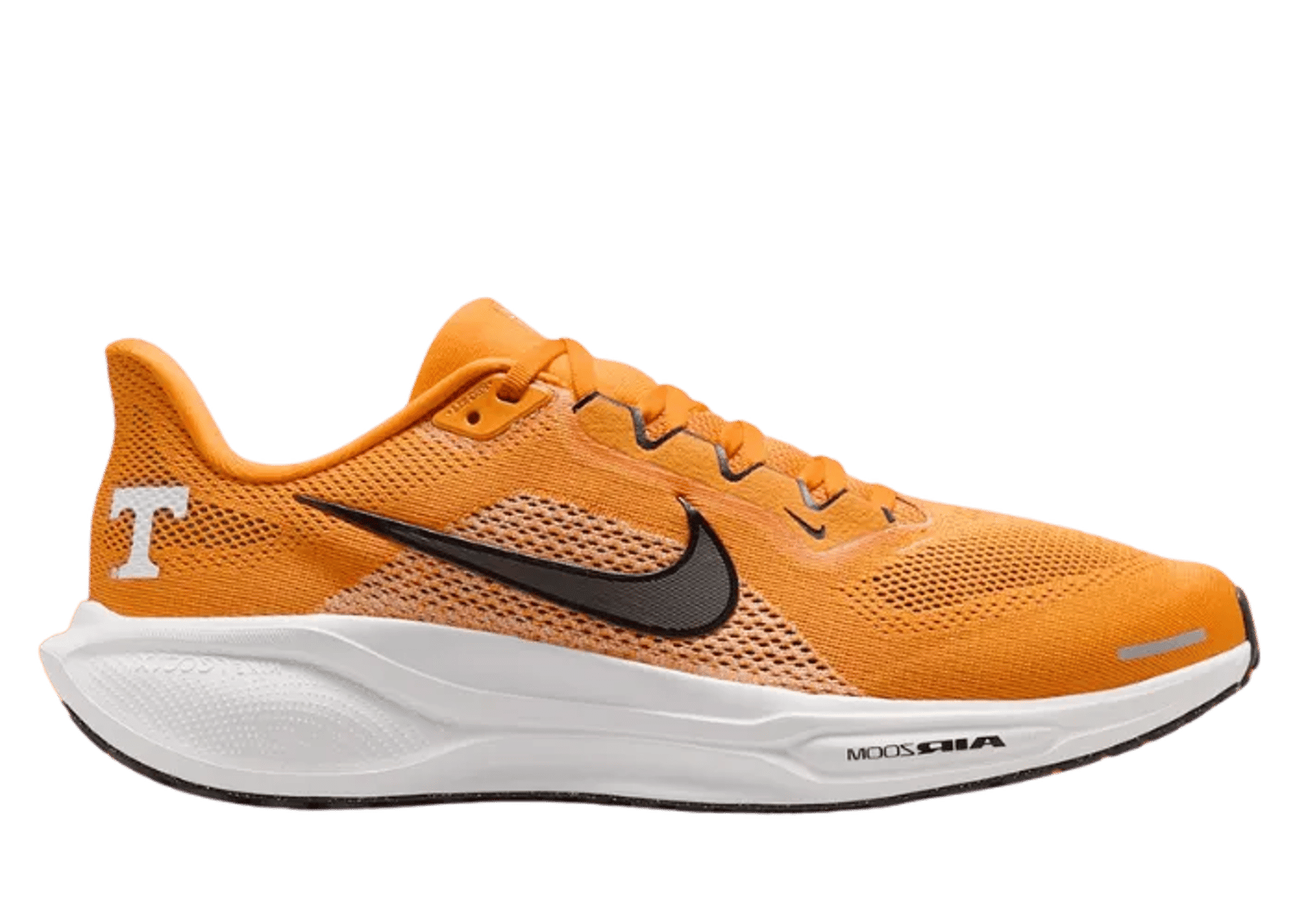 Nike Pegasus 41 NCAA Tennessee