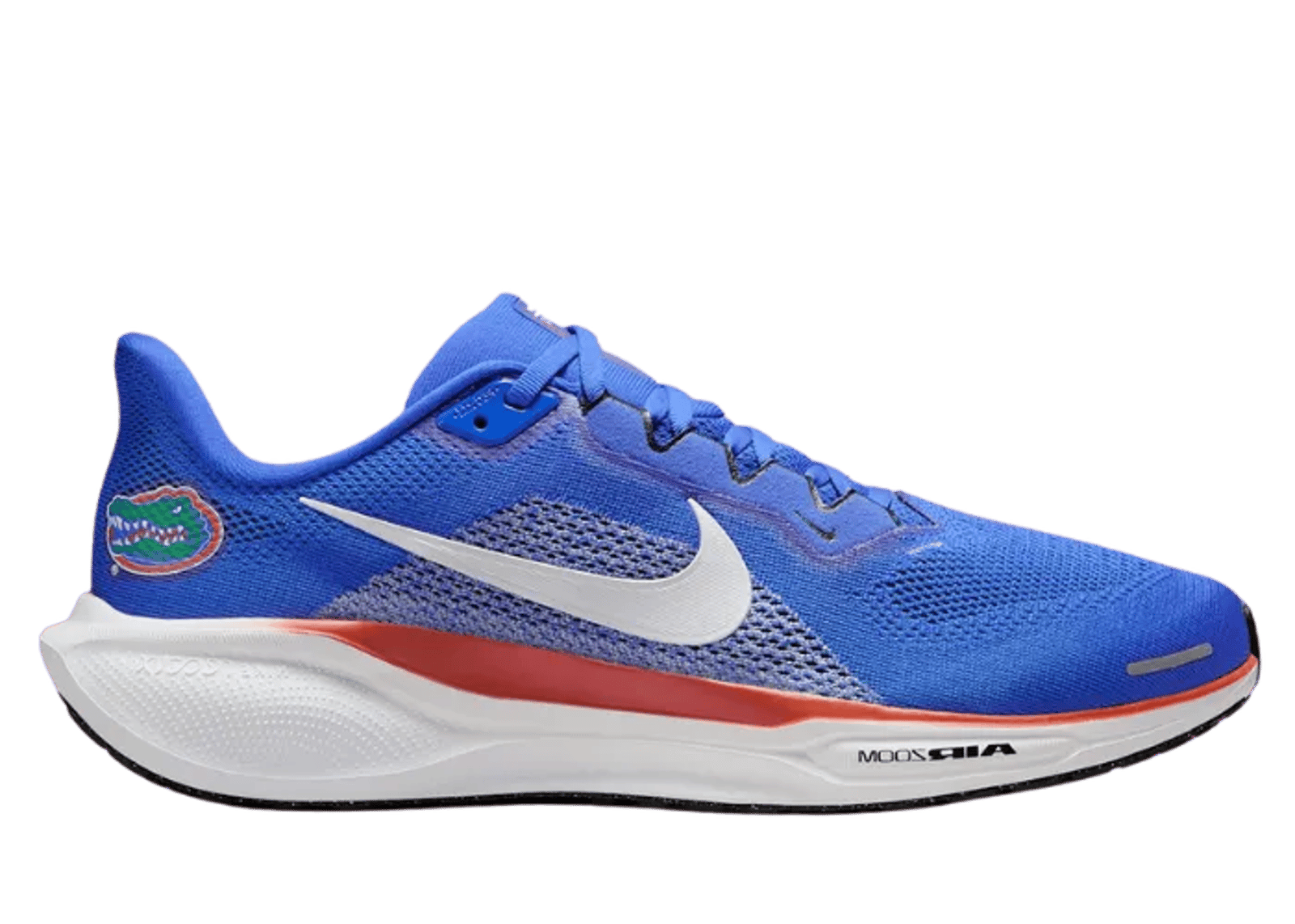 Nike Pegasus 41 NCAA UF