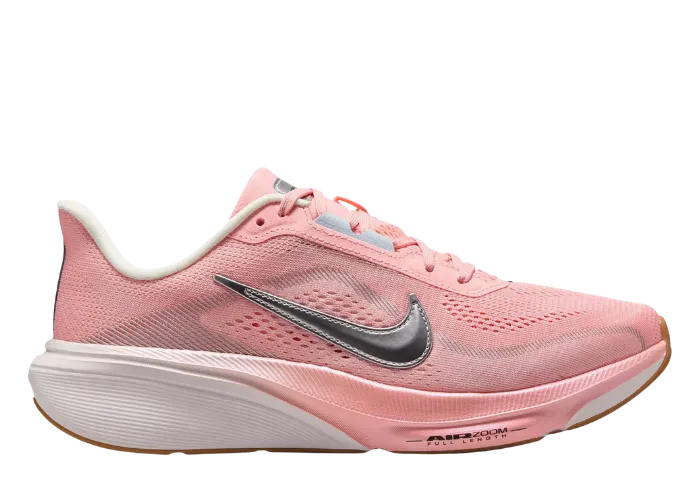 Nike Pegasus 42 Every Now & Then (Dick's Exclusive) (W)