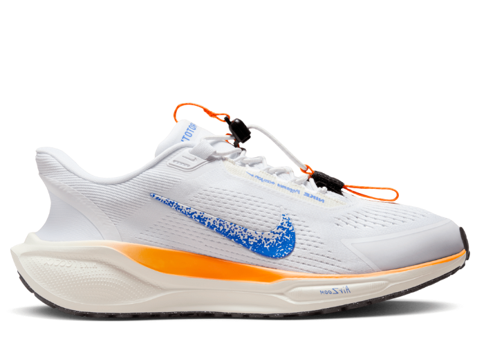 ◆正規品◆NIKE AIR PEGASUS EASYON BLUEPRINT(W)◆関税/送料込 Nike Pegasus EasyOn FP Blueprint (W) - HM0375-900 Raffles