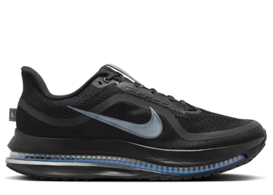 Nike Pegasus Premium Black Metallic Silver