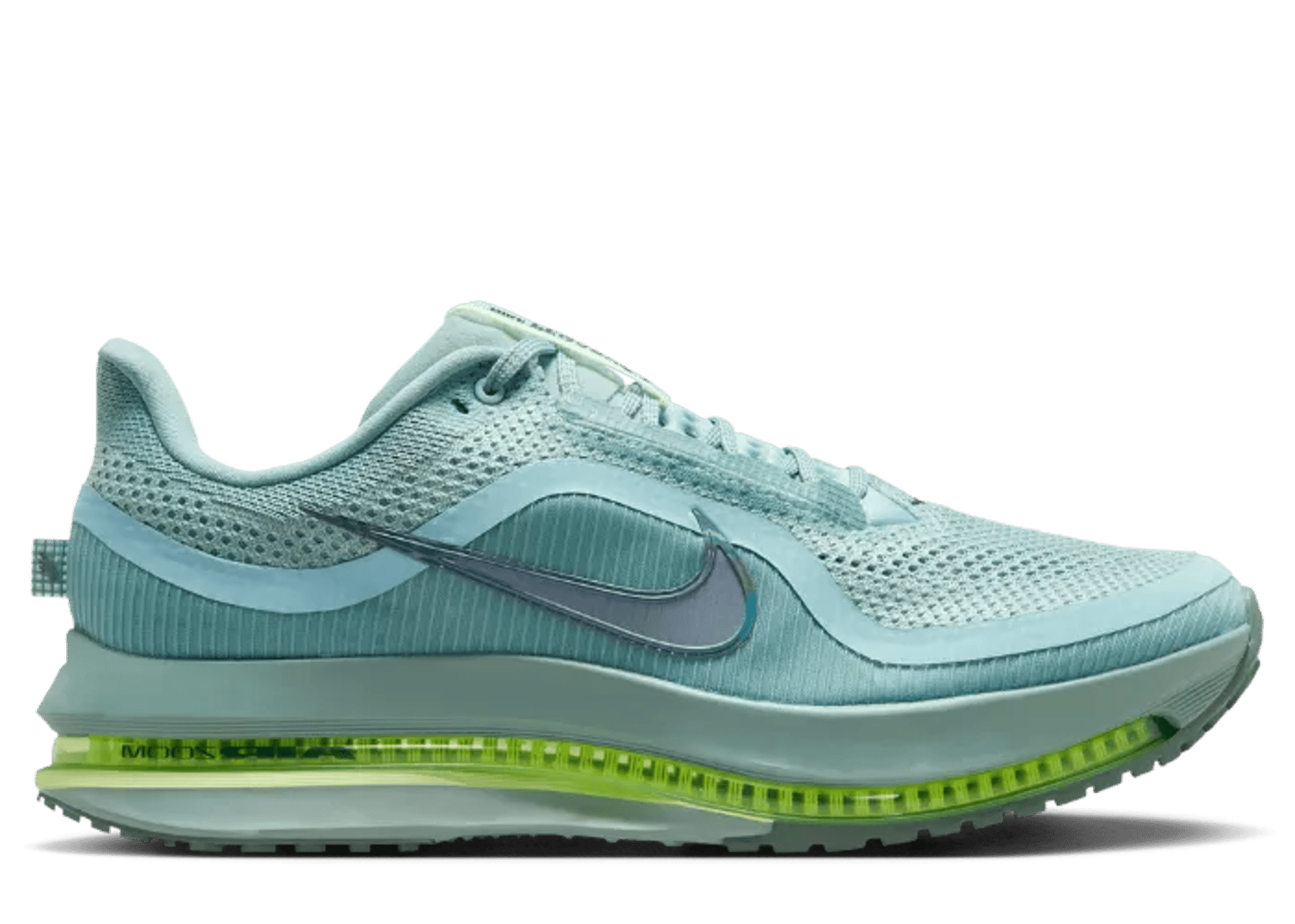 Nike Pegasus Premium Cannon