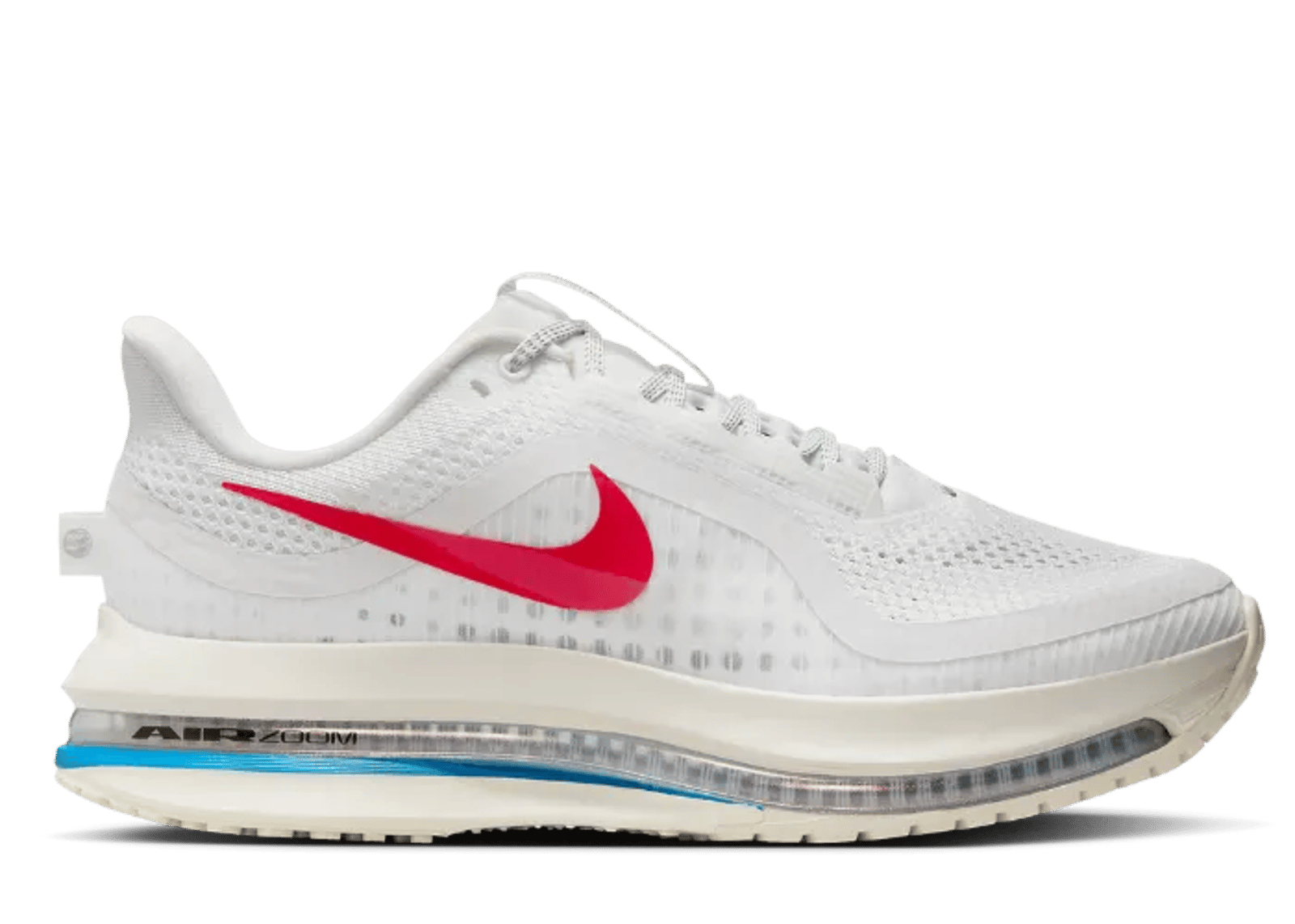 Nike Pegasus Premium Forrest Gump (W)