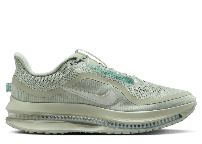 Nike Pegasus Premium Jade Horizon