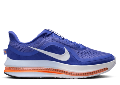 Nike Pegasus Premium Knicks