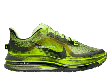 Nike Pegasus Premium Melitta Baumeister Volt