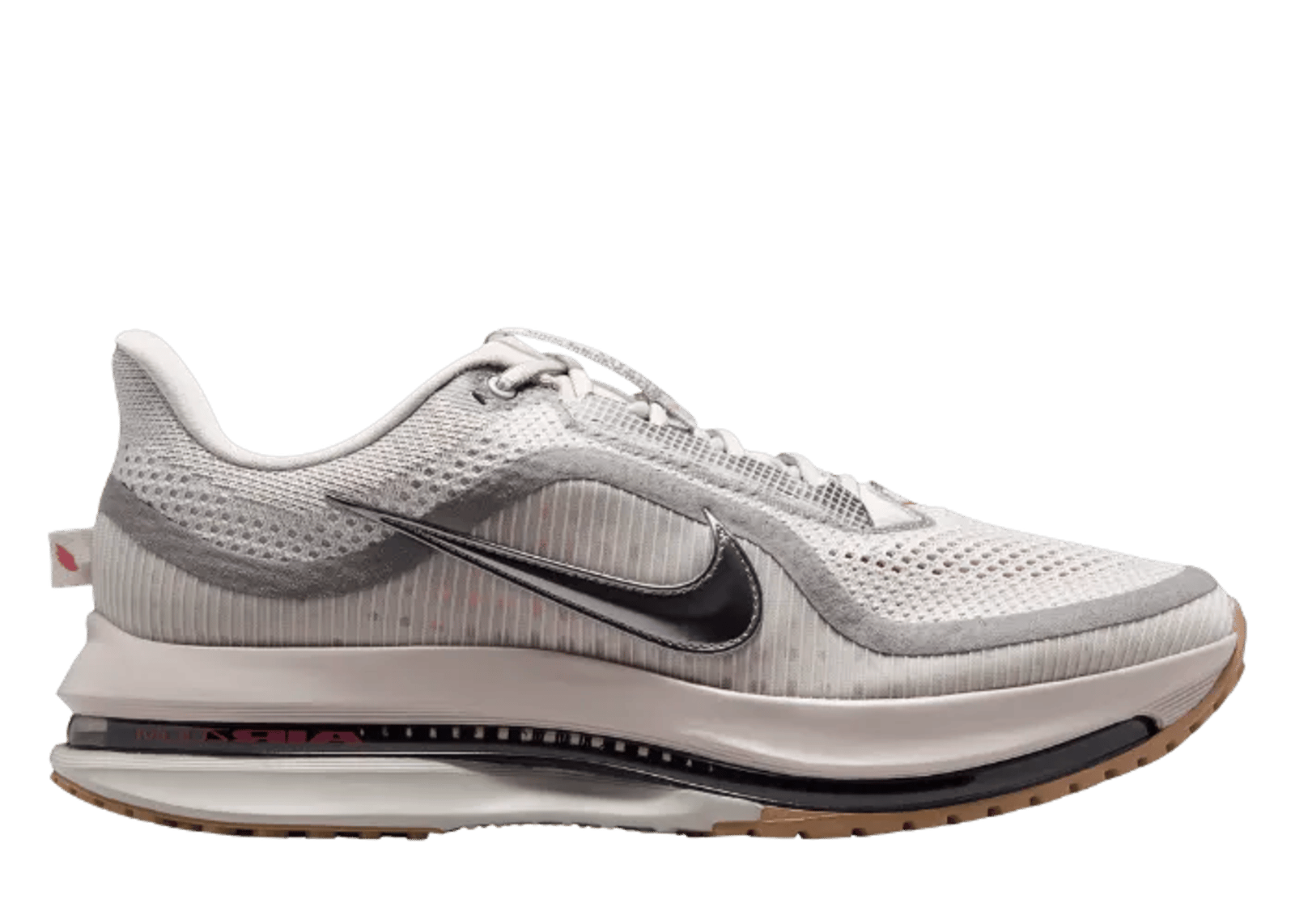 Nike Pegasus Premium Now and Then