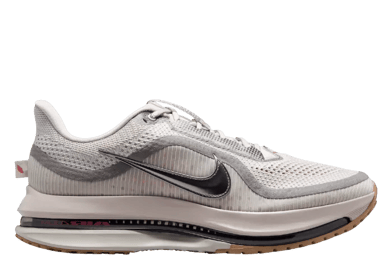 Nike Pegasus Premium Now and Then