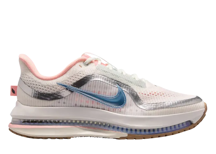 Nike Pegasus Premium Now and Then (Dick's Exclusive) (W)