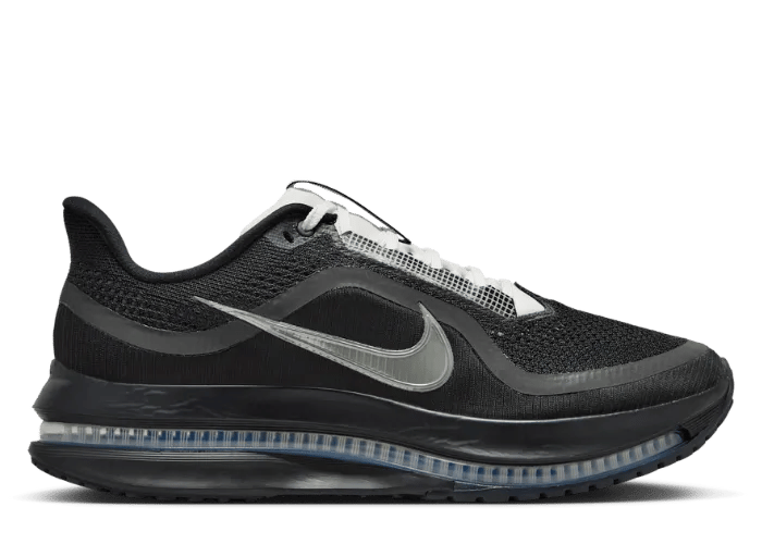 Nike Pegasus Premium SP Black Metallic Silver