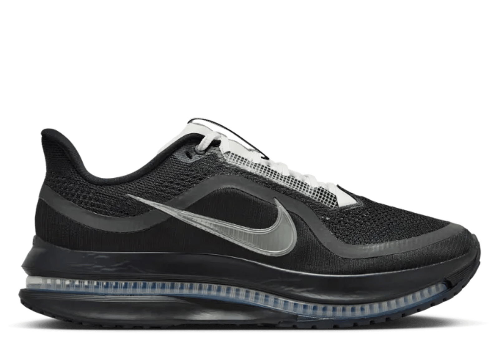 Nike Pegasus Premium SP Black Metallic Silver