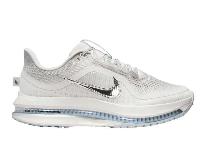 Nike Pegasus Premium Vast Grey (W)