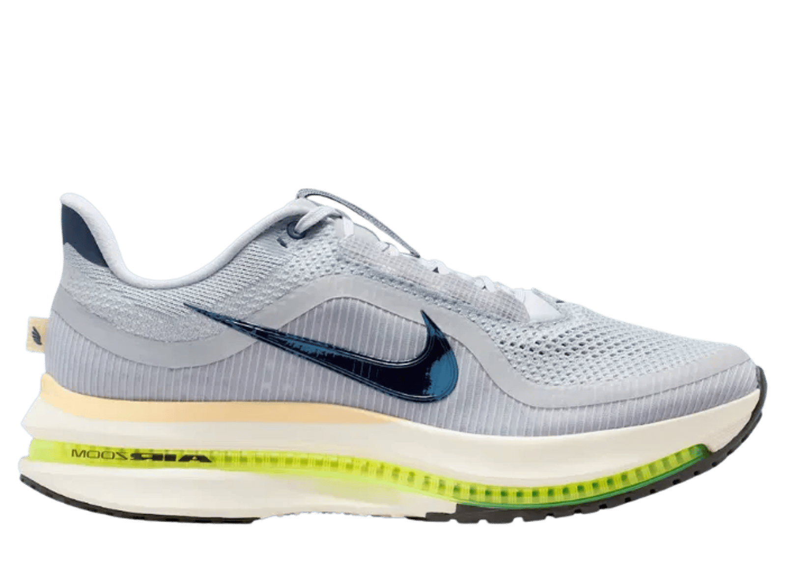 Nike Pegasus Premium Wolf Grey