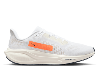 Nike Zoom Pegasus 41 Anniversary (W)