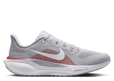 Nike Zoom Pegasus 41 Arkansas