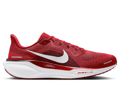 Nike Zoom Pegasus 41 Cardinals