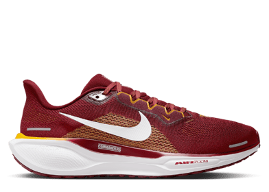 Nike Zoom Pegasus 41 Commanders