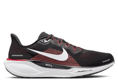 Nike Zoom Pegasus 41 Falcons