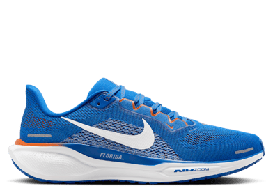 Nike Zoom Pegasus 41 Florida