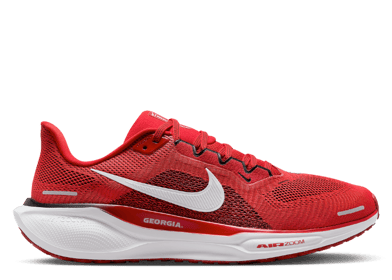 Nike Zoom Pegasus 41 Georgia