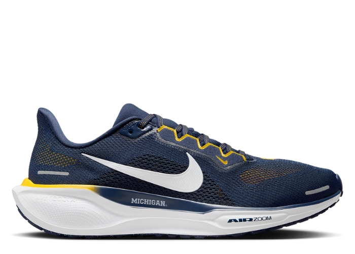 nike_zoom_pegasus_41_michigan_