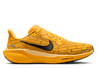 Nike Zoom Pegasus 41 Modern Mayfly