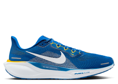 Nike Zoom Pegasus 41 NCAT