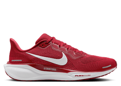 Nike Zoom Pegasus 41 Stanford