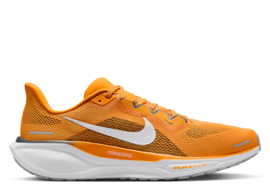 Nike Zoom Pegasus 41 Tennessee