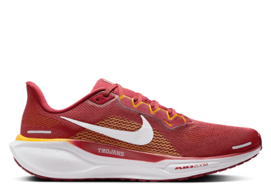 Nike Zoom Pegasus 41 USC