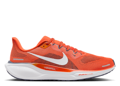 Nike Zoom Pegasus 41 Virginia