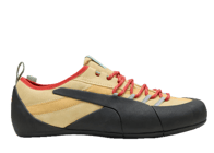 Trending sneaker