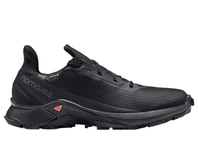 Salomon Alphacross 3 GTX Black