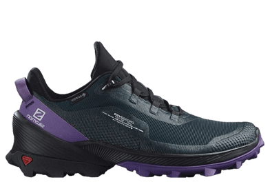 Salomon Cross Over GTX Ponder Black (W)