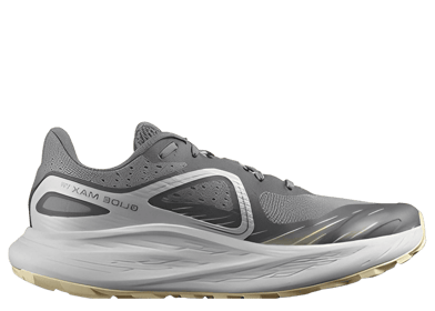 Salomon Glide Max TR Grey