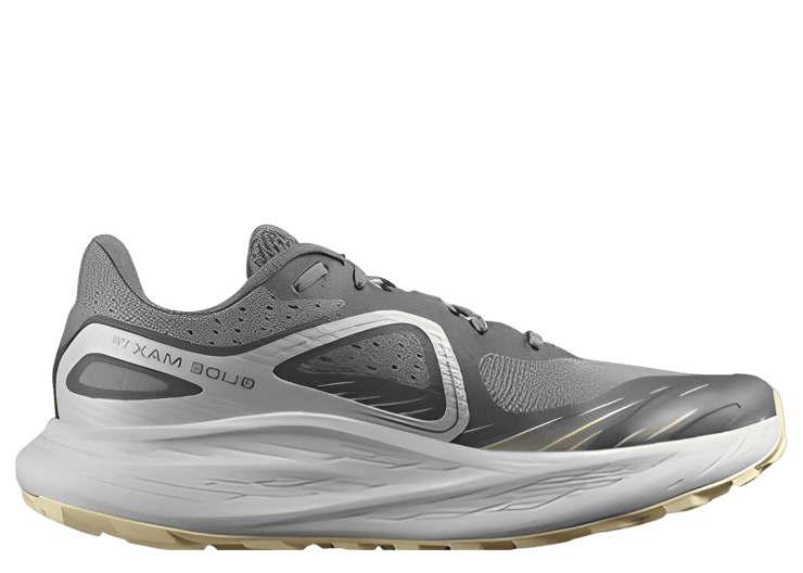 Salomon Glide Max TR Grey