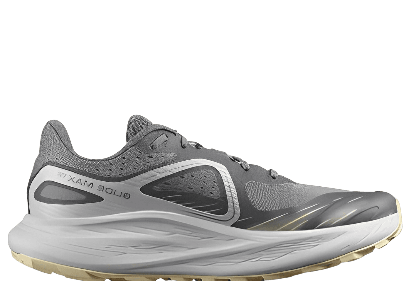 Salomon Glide Max TR Grey