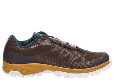 Salomon Outpath GTX x and wander Brown