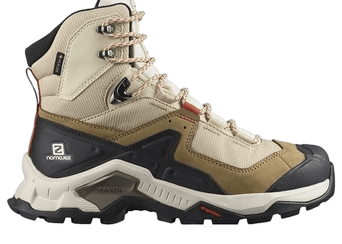 Salomon Quest Element Gore-Tex Brown (W)